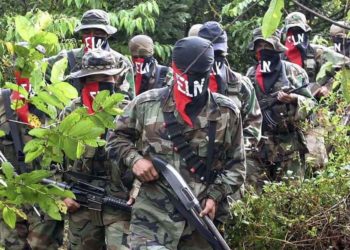 Guerrilla del ELN en Colombia anunció paro armado en el país. Foto: América Digital /Archivo