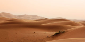 En el año 2007, cerca de once países africanos desarrollaron una iniciativa ambiental para contener la expansión del desierto del Sahara. Foto: Pixabay