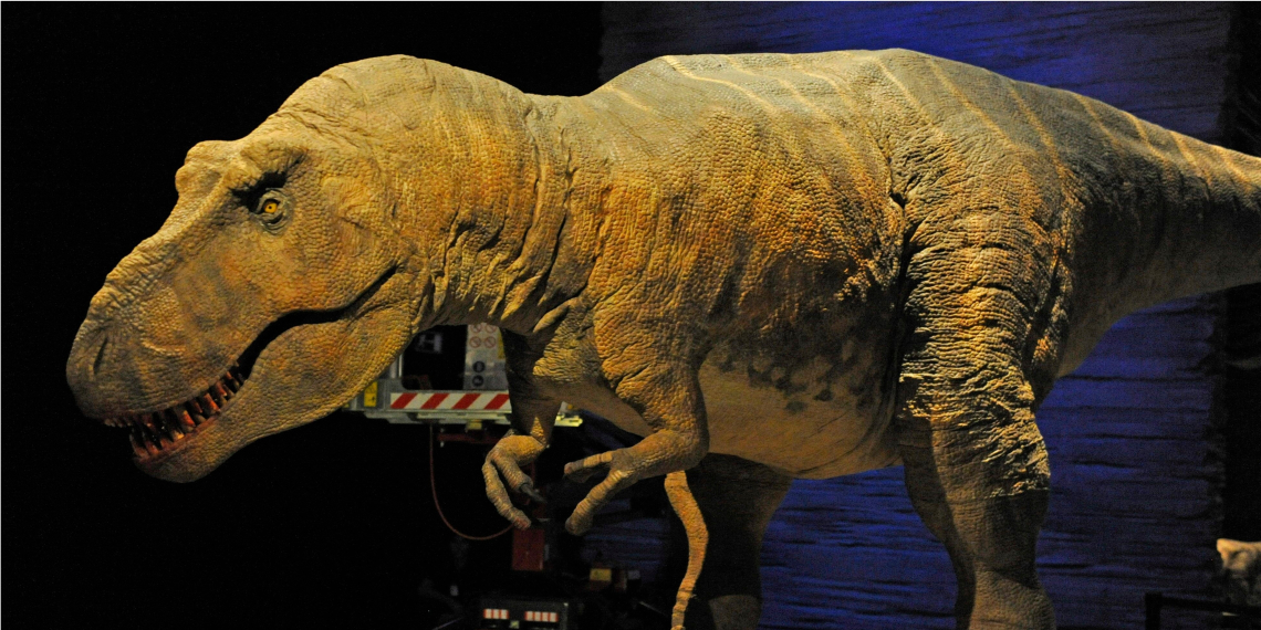 Tiranosaurio Rex. Foto: EFE