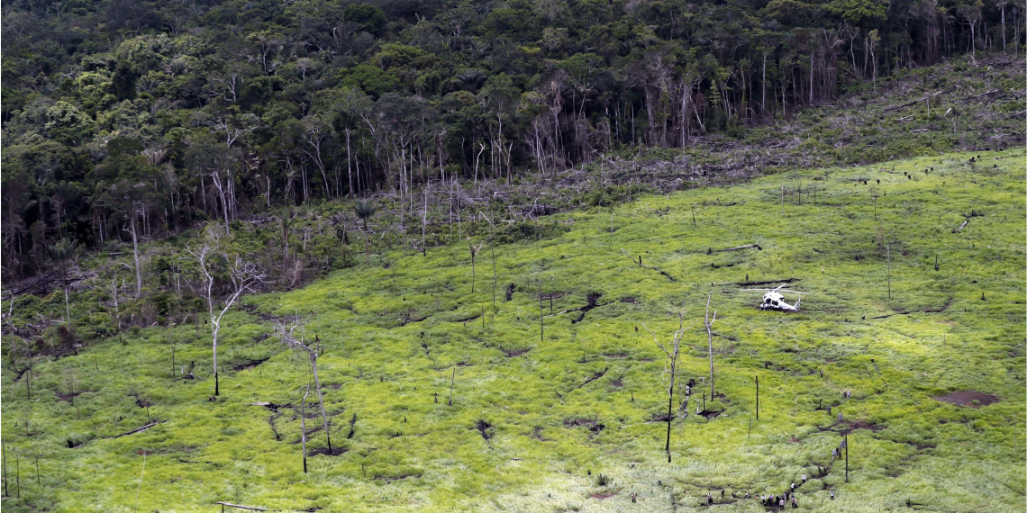 Deforestación en Colombia. Foto: EFE